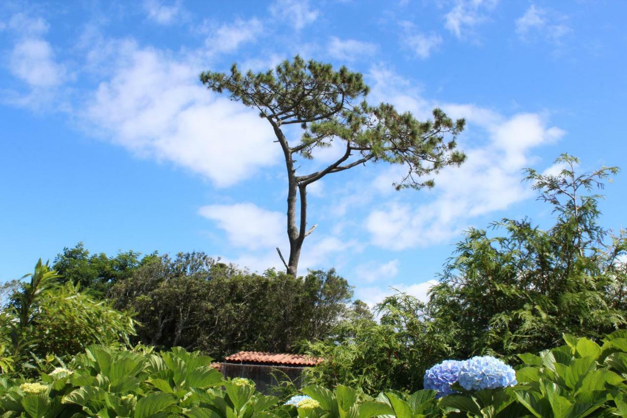 Vila Quinta Do Torreao Capelas Exteriér fotografie